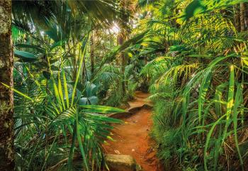 Photomural "Jungle Trail" from Komar | photomural.com