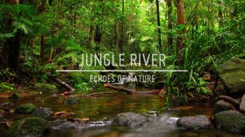 Echoes of Nature - Jungle River - YouTube