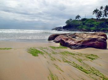 Kerala Beach landscape