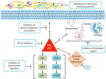 Cancers | Free Full-Text | KRAS Mutant Pancreatic Cancer: No Lone ...