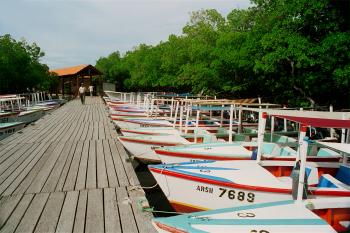 File:Laguna de La Restinga (2).jpg - Wikimedia Commons