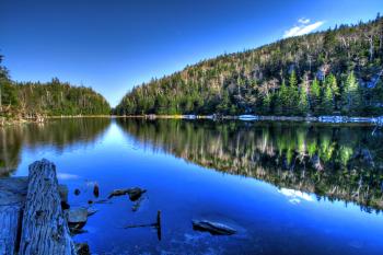 Lac Spruce - HDR