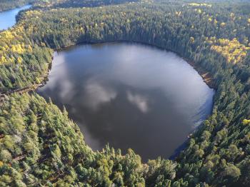 Reducing how much nitrogen enters a lake has little impact on algal ...