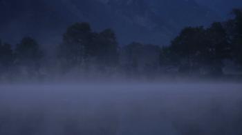 Dark scary lake at night background loop 2 raw. Gloomy night scene ...