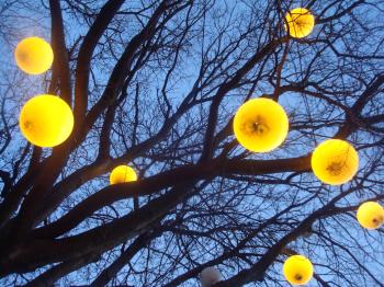 Lamps on a tree
