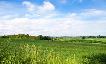 Land Severance - Clarington