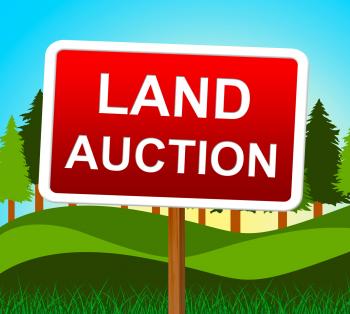 Land Auction Represents Building Plot And Auctioning