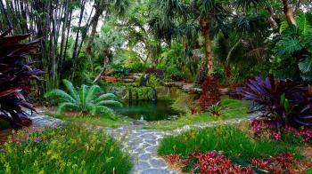 Landscape Design, Landscaping and Garden Design in Miami, Coral ...