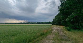 Landscape Brandenburg