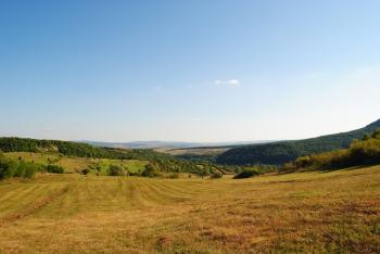 Landscape from Transilvania