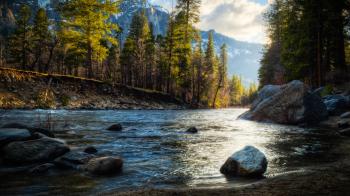 River Landscape | Landscape Channel