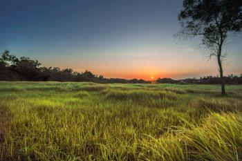 Landscape Photography Of Green Grass Field During Golden Hour