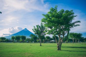 Landscape Photography of Open Field With Tree With Mayon Volcano Background