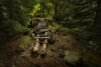 Some of the best landscapes in and around Reykjavik