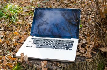 Laptop in Forest - Nature Concept