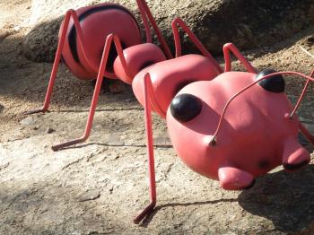 Large Ant Model