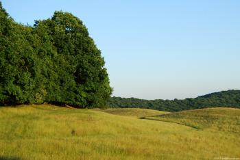 Late Summer