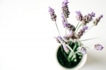 LAVENDER BEDTIME MILK + 30 SCREENLESS NIGHTS. | Kale and Caramel