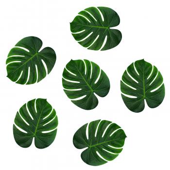 Amazon.com: Tropical Imitation Green Plant Paper Leaves 13" Hawaiian ...