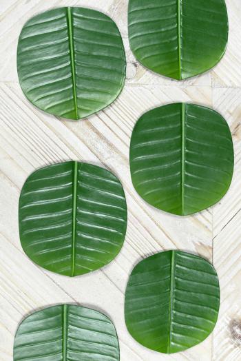 Leaves