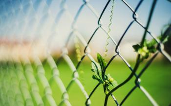 close up leaf leaves net fence fencing blur background wallpaper ...