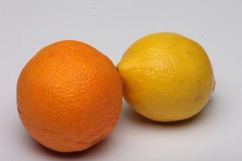 Lemon and Orange Isolated on white