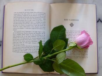 for a flower album | Miss Darcy's Library