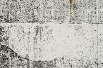 Light Grunge Concrete Wall