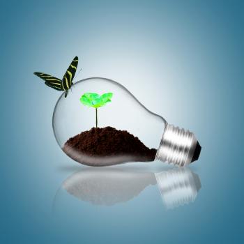 Lightbulb with butterfly and plant sprout