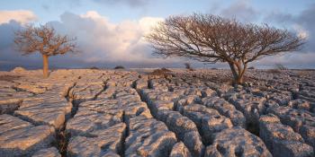 Yorkshire Dales Limestone Pavements Photography Workshop - David ...