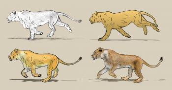 Cartoon lioness running. Four different drawing style: pencil ...