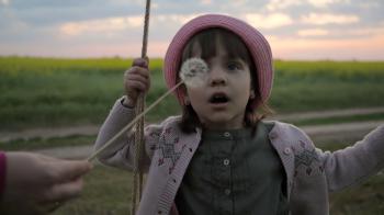 Portrait Female child blowing In Blowball Flower, Cute Child Girl ...