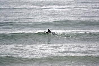 Bodyboarding | John's Blog | Page 3