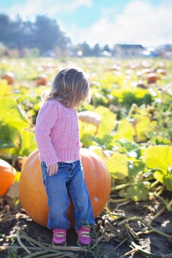 Little Girl with Pumpkin