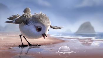 Cute little sparrow and Bubble - Imgur