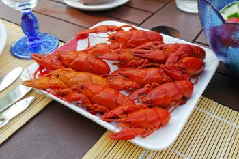 Lobster Dish