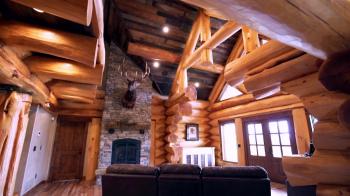 Log Cabin Kings Shorts | Log Cabin Kings | GAC