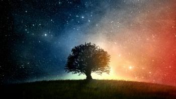 Lone Tree Under The Starry Sky Wallpaper | Wallpaper Studio 10 ...