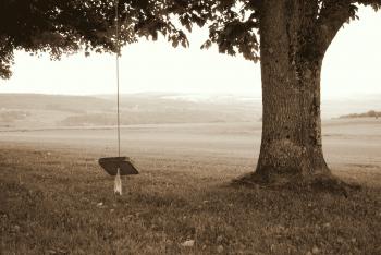 Competition Winners – Utica Camera Club
