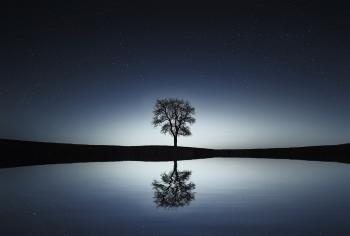 Lonely Tree Reflection
