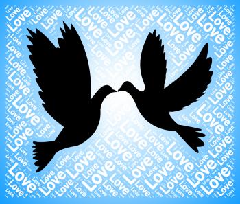 Love Doves Means Tenderness Loving And Affection