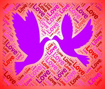 Love Doves Represents Lover Fondness And Compassionate