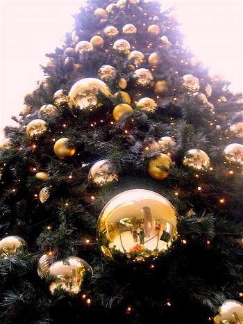 Low Angle Shot of Christmas Tree With Gold-colored Bauble