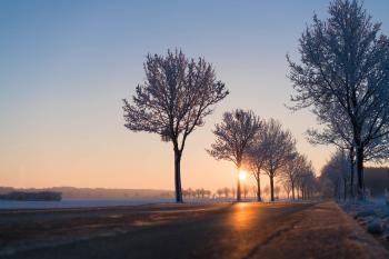 Low Angle View Photo of Concrete Road Between Trees Beside Body of Water during Sunrise
