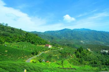 Tea Plantations Mountains House Lush Green Mountain River Wallpapers ...