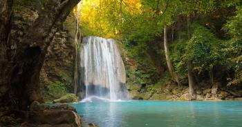 Serene and tranquil nature background in tropical rain forest lush ...
