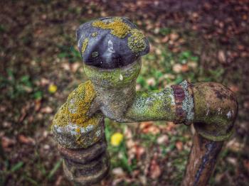 Free Images : nature, tube, old, wildlife, green, broken, metal ...