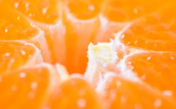 Fruits: Orange Macro Nature Wallpapers To Download For Mobile for HD ...