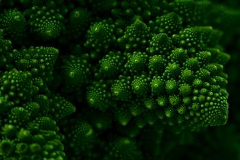 Macro Romanesco Broccoli - Low Key HDR