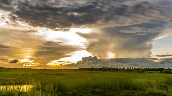 Macro Shot of Green Grass Field Under Cloudy Sky during Sunset